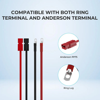Renogy 5FT 6AWG Anderson Adapter Cable（Anderson PP75 - 3/8 in Lugs） Renogy