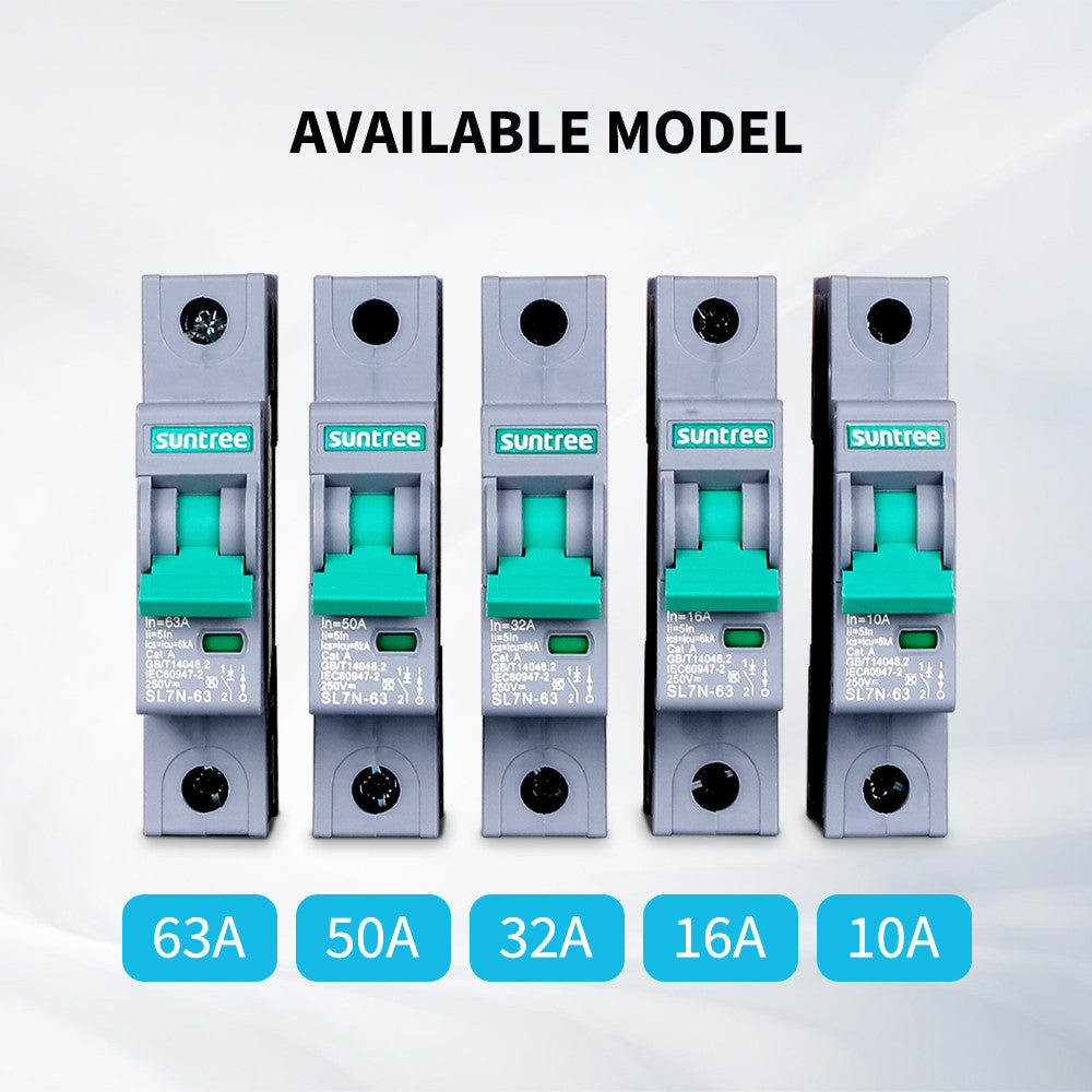Model Options