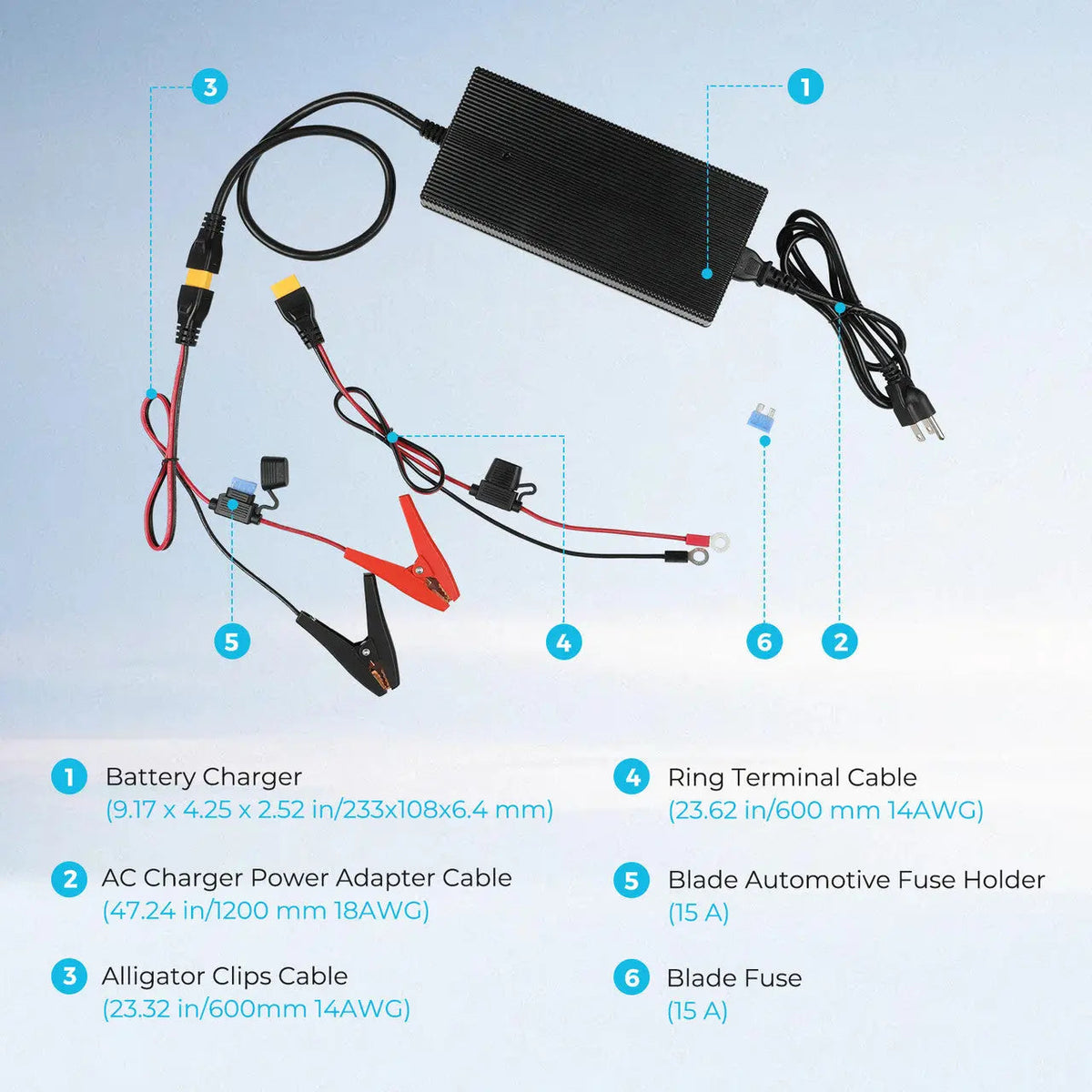 24V 10A AC-to-DC LFP Portable Battery Charger Renogy