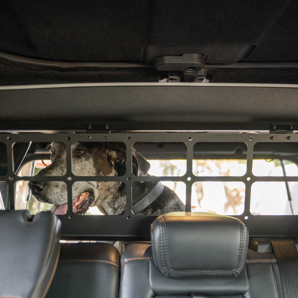 DV8 Offroad Dog Barrier for 2021–2024 Ford Bronco 4-Door — image 5