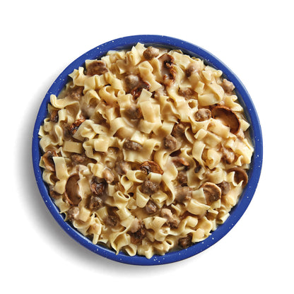 Mountain House Beef Stroganoff Pro-Pak prepared in a blue camping bowl.